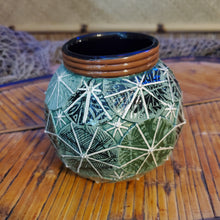 Load image into Gallery viewer, Patterned Green Cocktail Umbrella mug